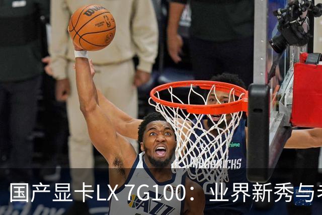 国产显卡LX 7G100：业界新秀与老将的哭笑不得较量